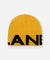 Planes Logo Beanie