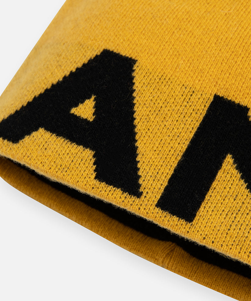 Planes Logo Beanie