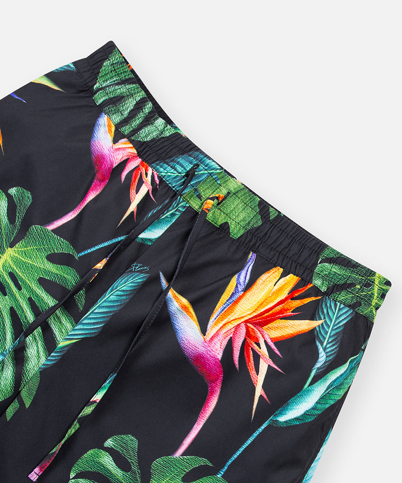 Bird Of Paradise Short