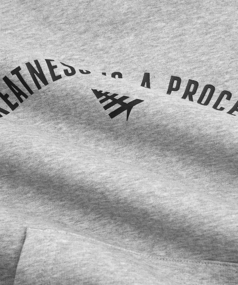 Toddler Greatness Is A Process Hoodie