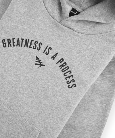 Toddler Greatness Is A Process Hoodie